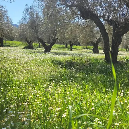 Rosie's Garden 3* Bocairent