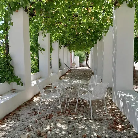 Rosie's Garden 3*